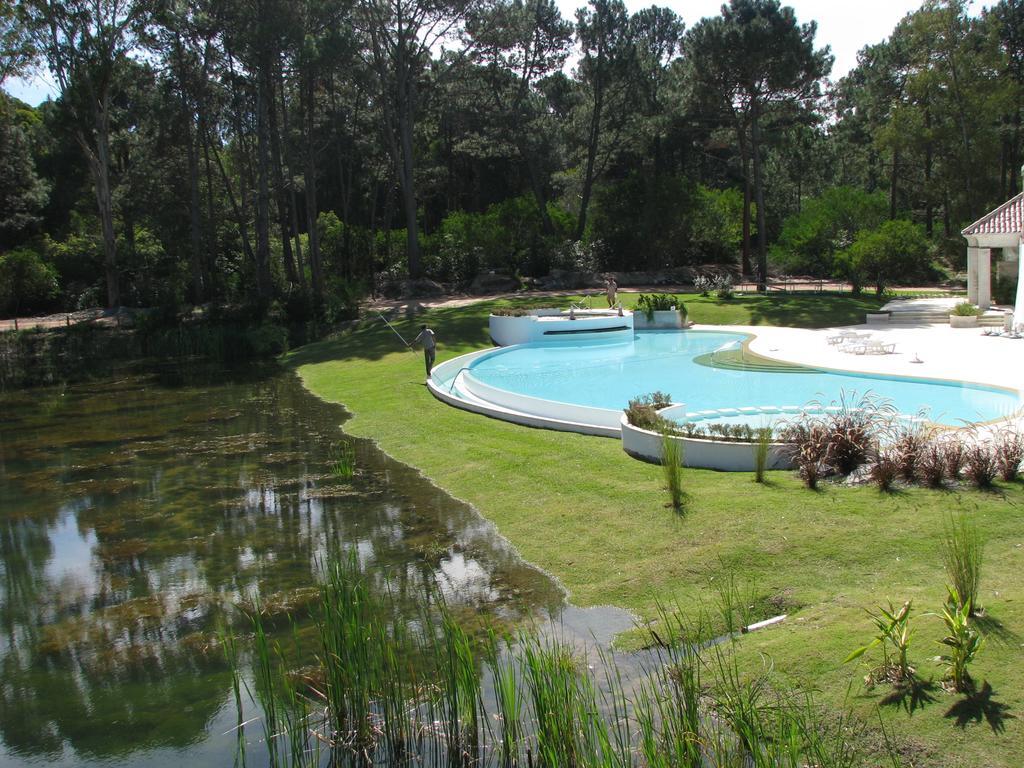 Apartment Park En Punta Del